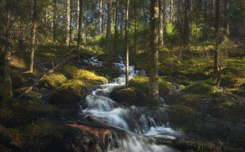 Ручей Сияющий