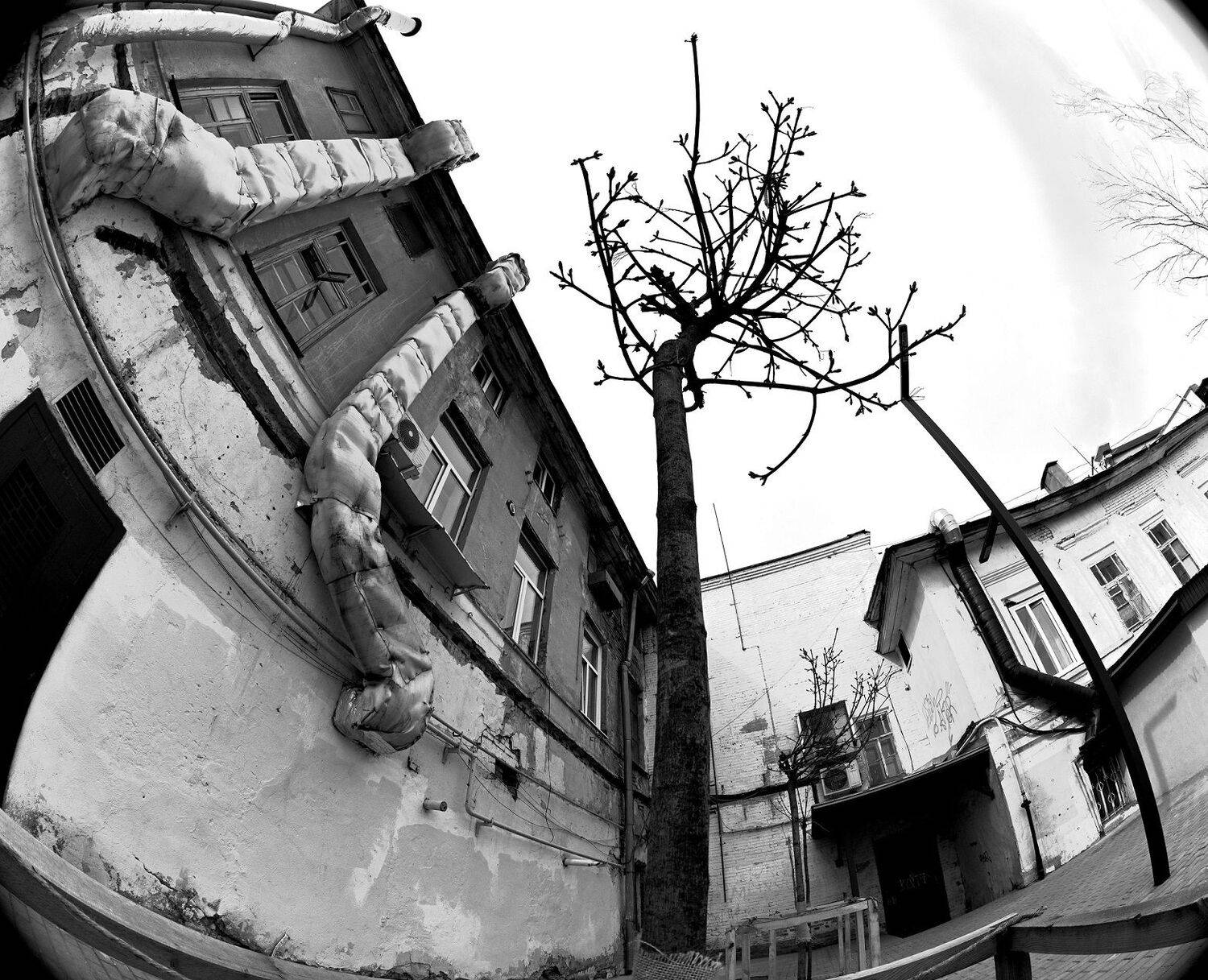 , Меднов Влад