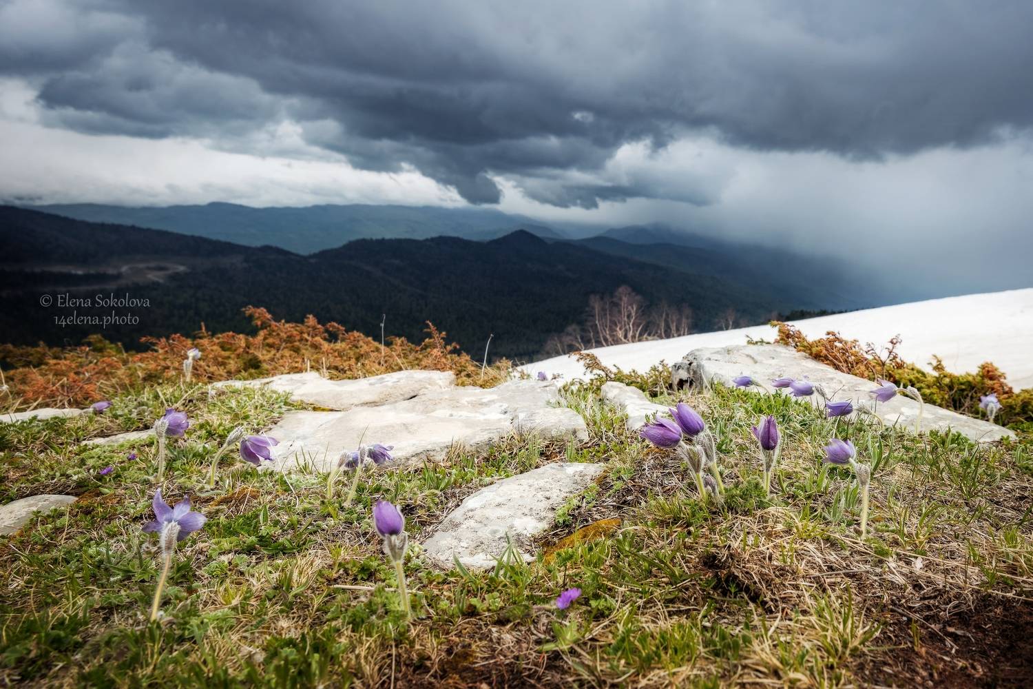 природа, горы, пейзаж, лагонаки, кавказ, весна, май, Соколова Елена