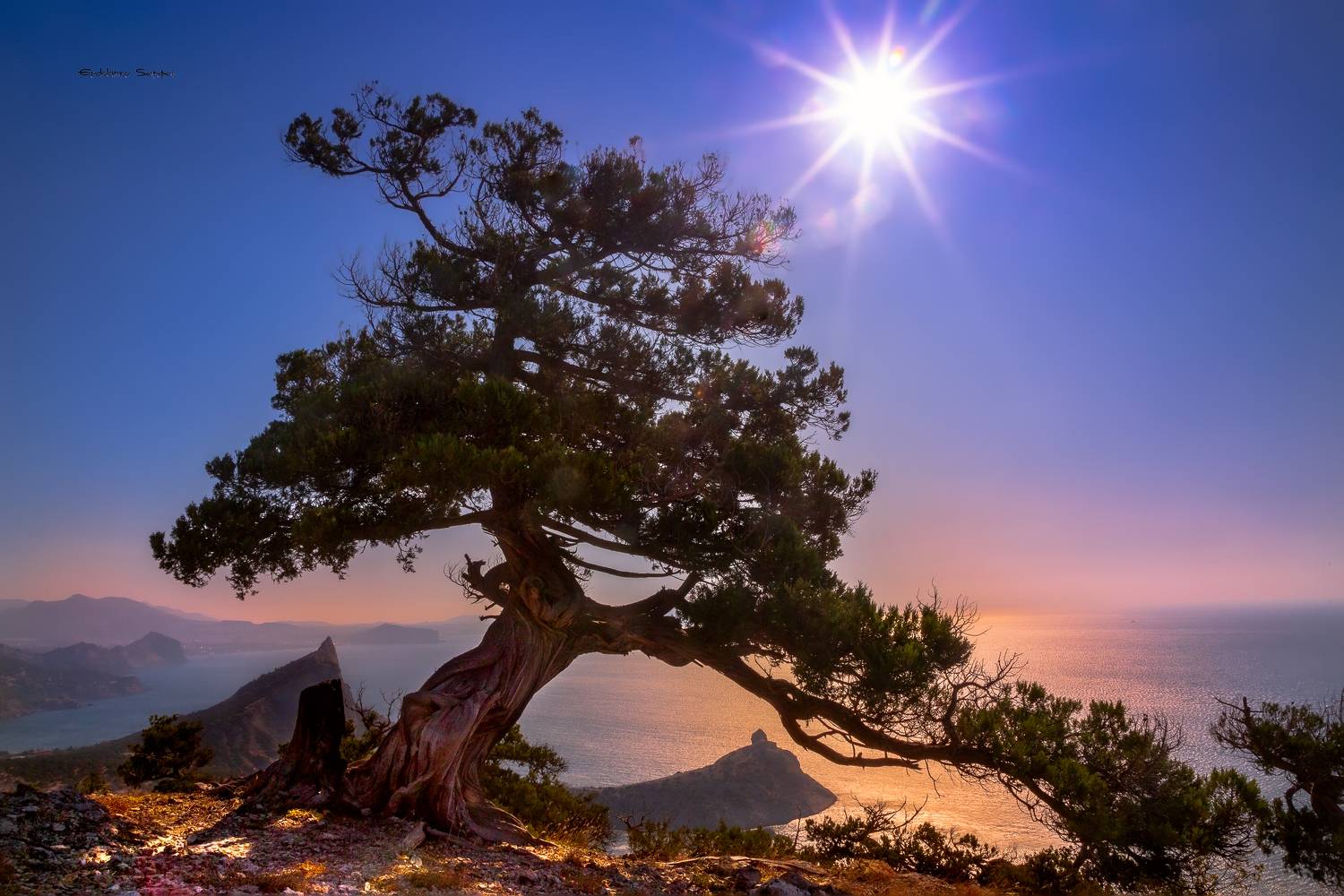 побережье крыма, Евдокимов Сергей