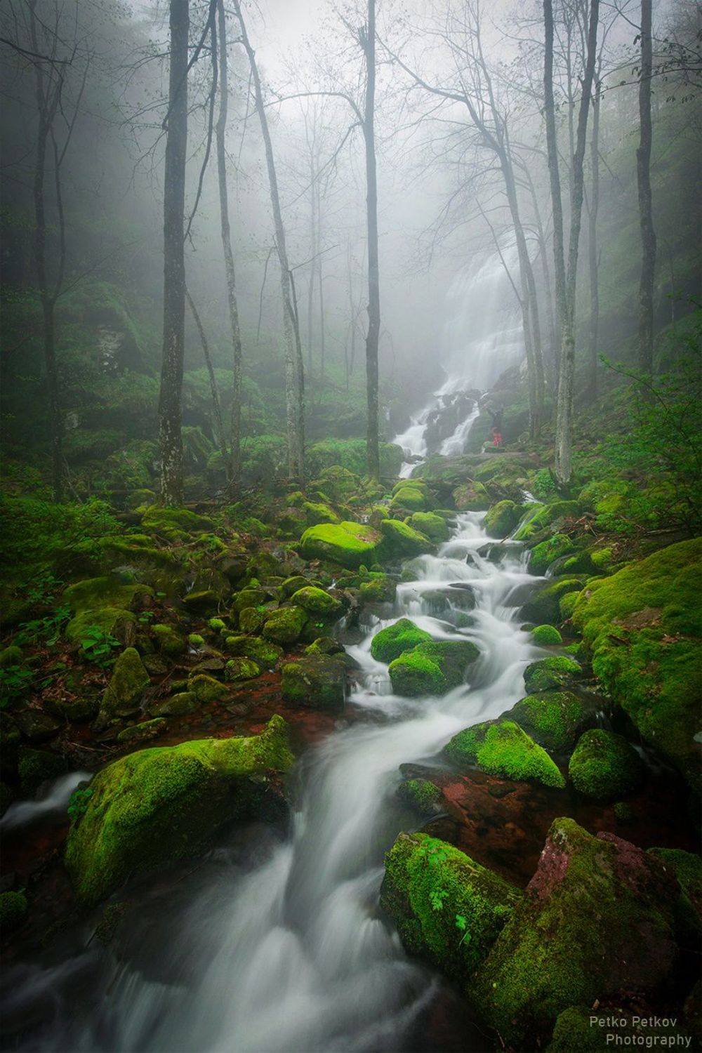 , Петко Петков