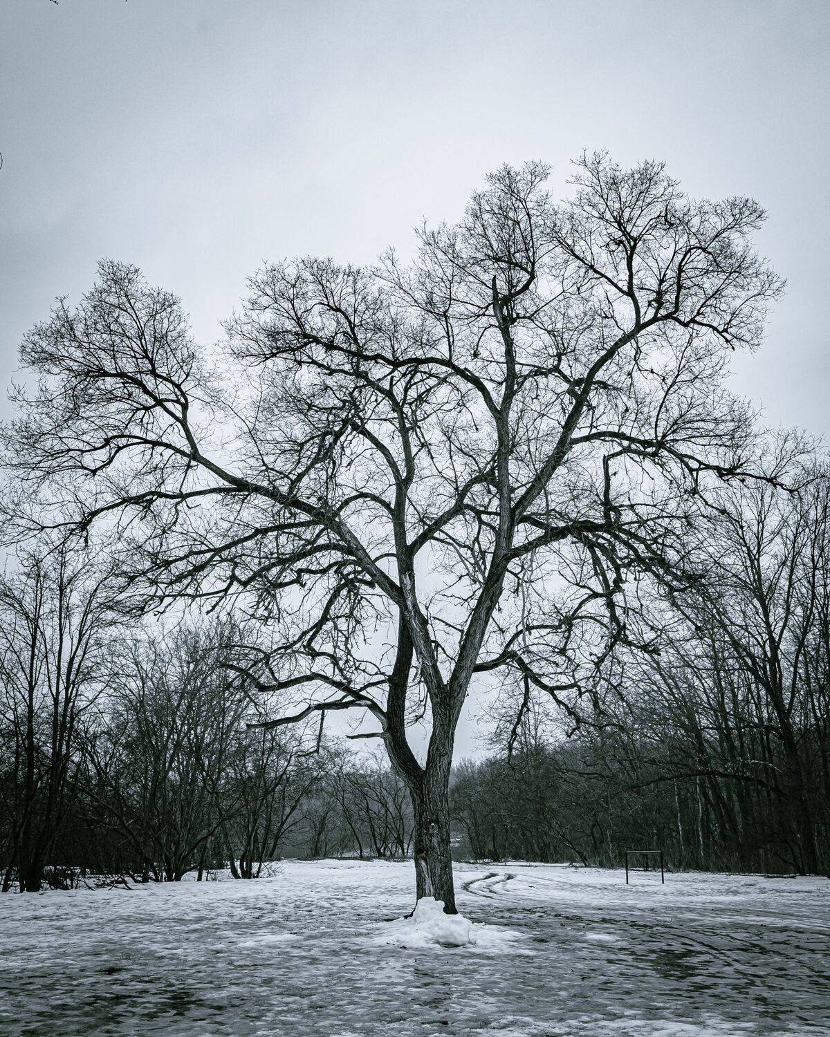 , Караваев Антон