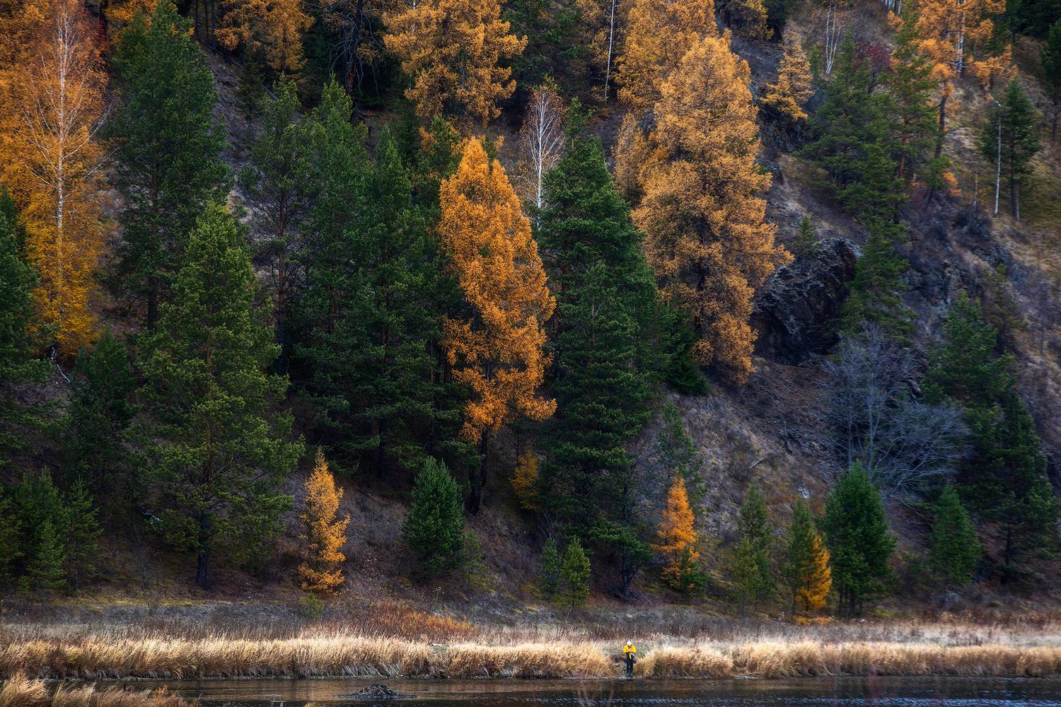 , Усманов Рашид