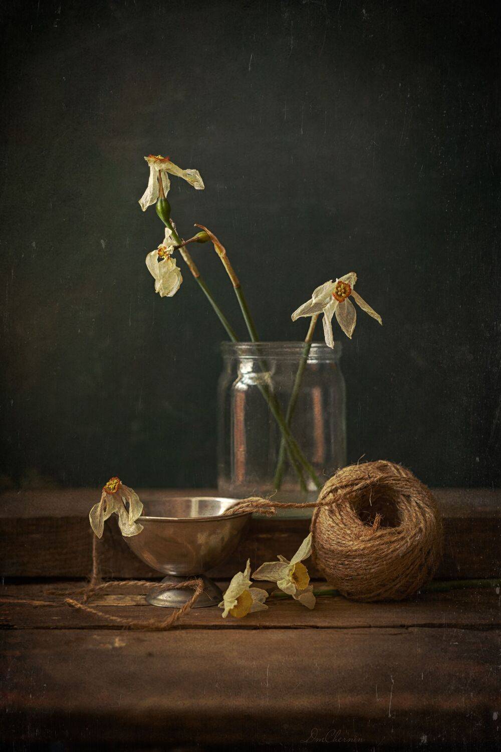 , Чернин Дмитрий