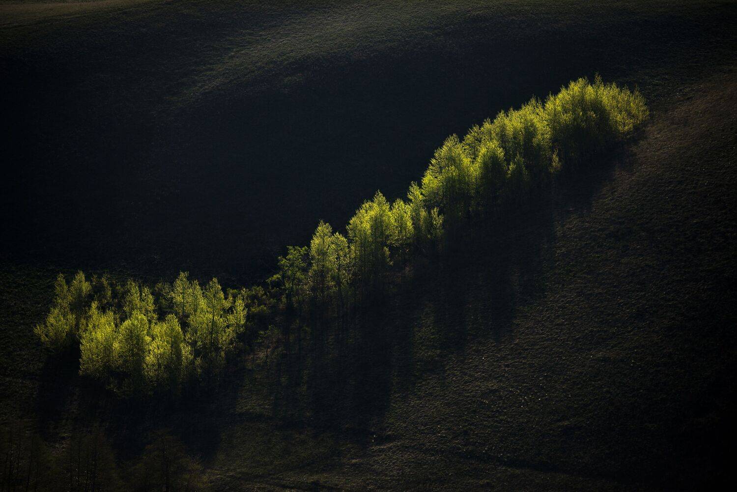 , Антонов Антон