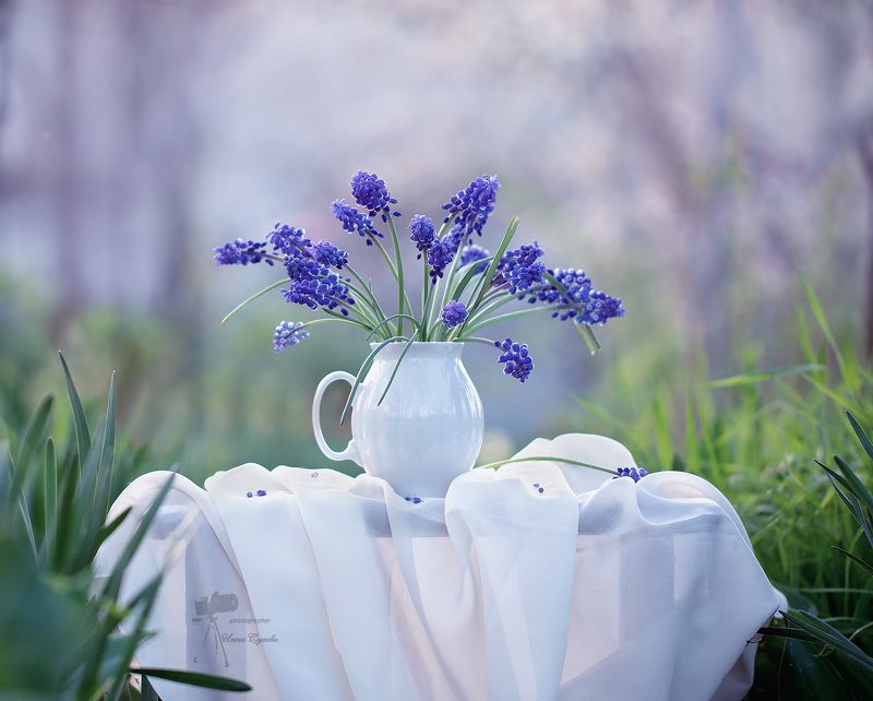 *** фото превью