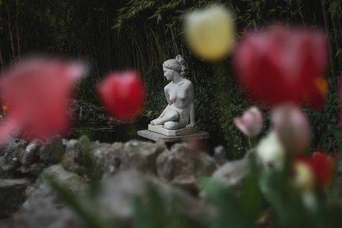 Весенние истории в саду.