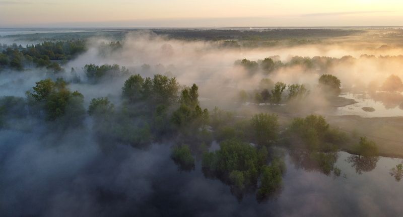 Весеннее утро фото превью