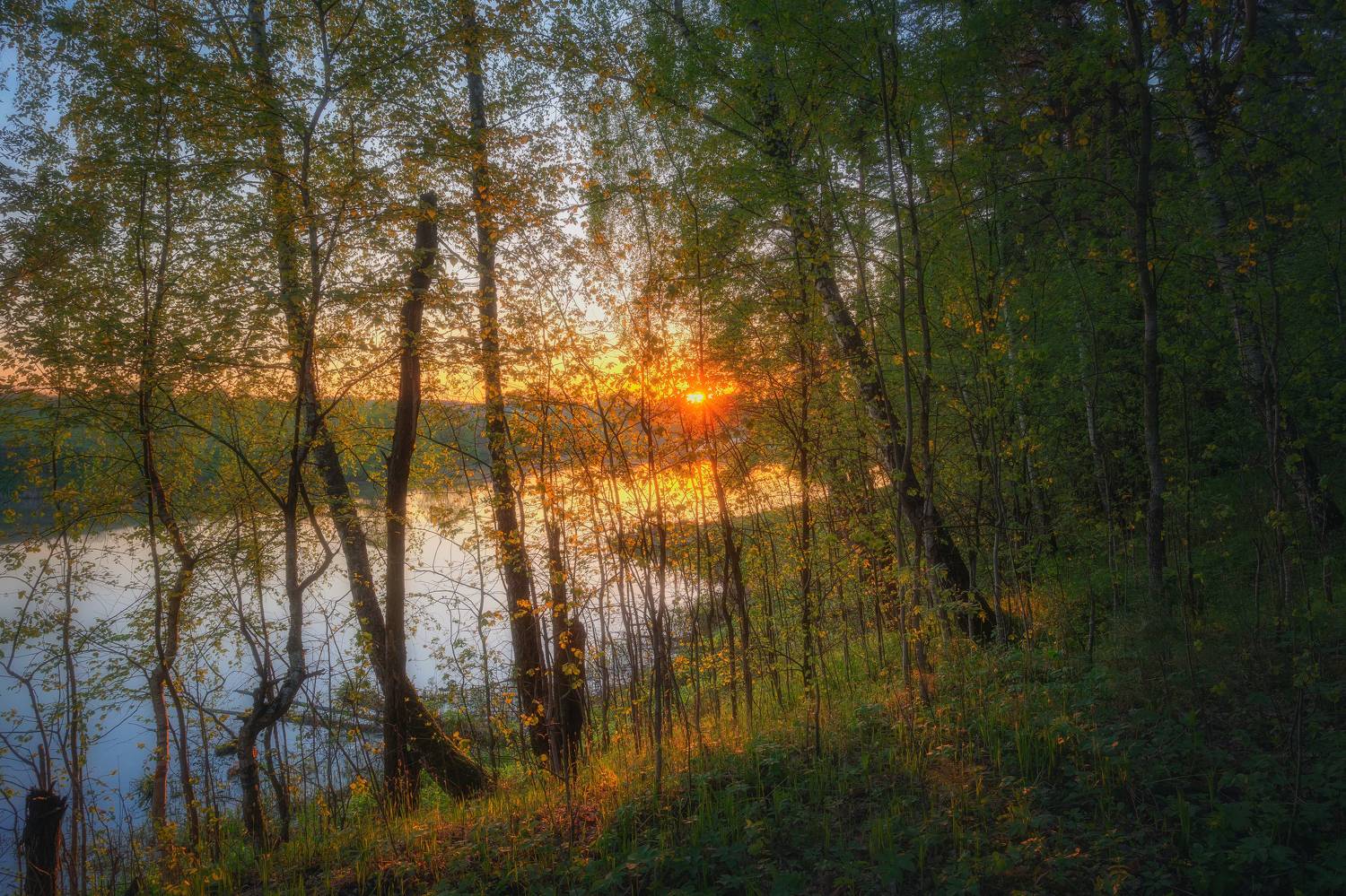 природа, рассвет, лес, озера, Московская область, пейзаж, весна, лесной пейзаж, Мартыненко Дмитрий