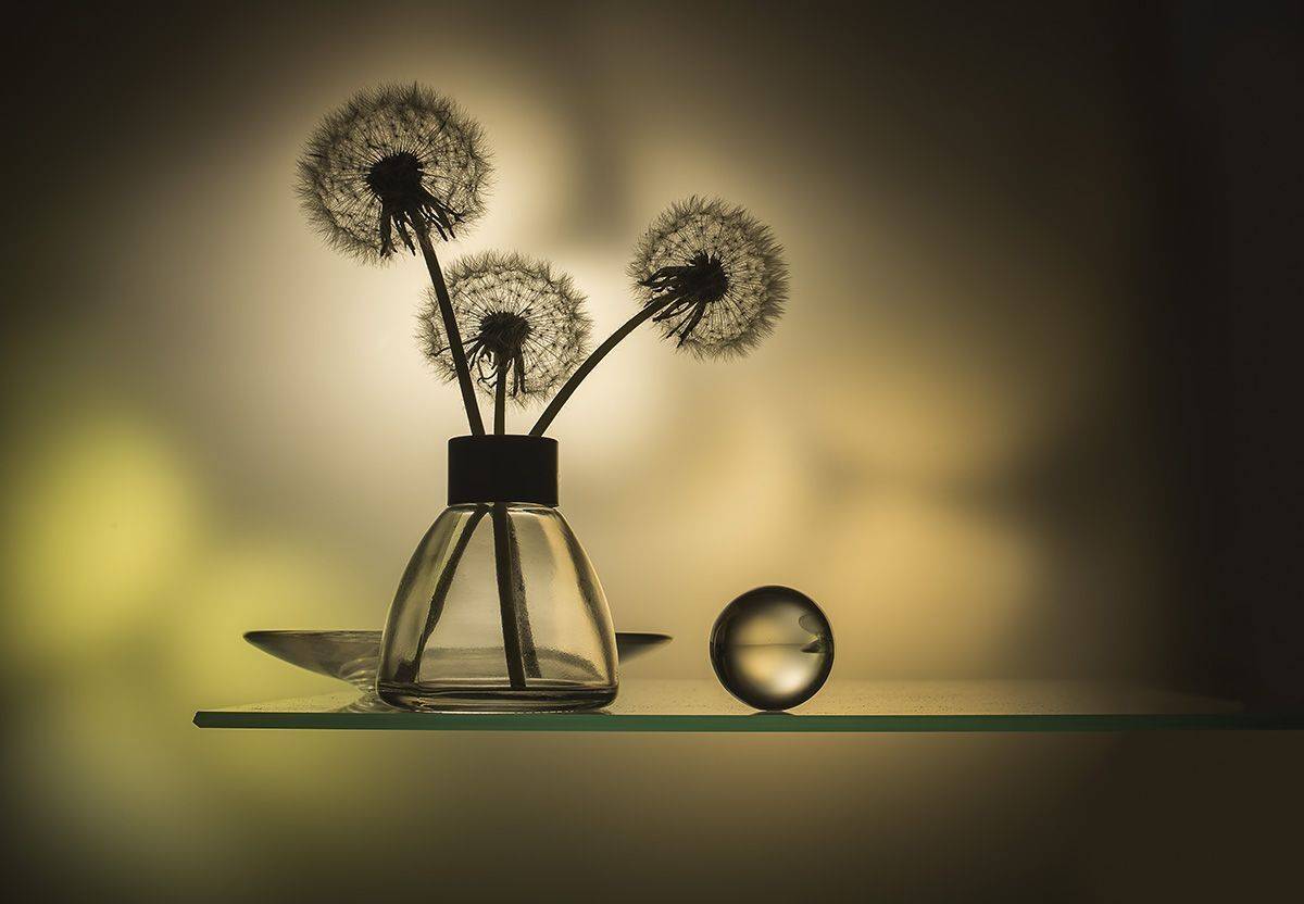 , Евгений Попов