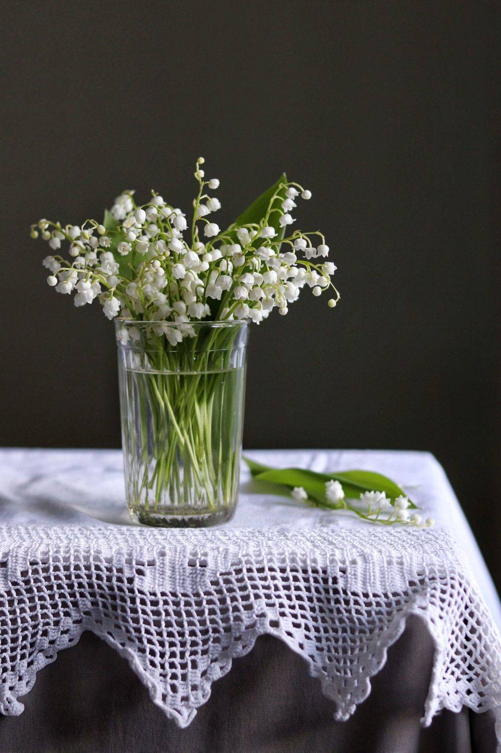 , Елена Логинова