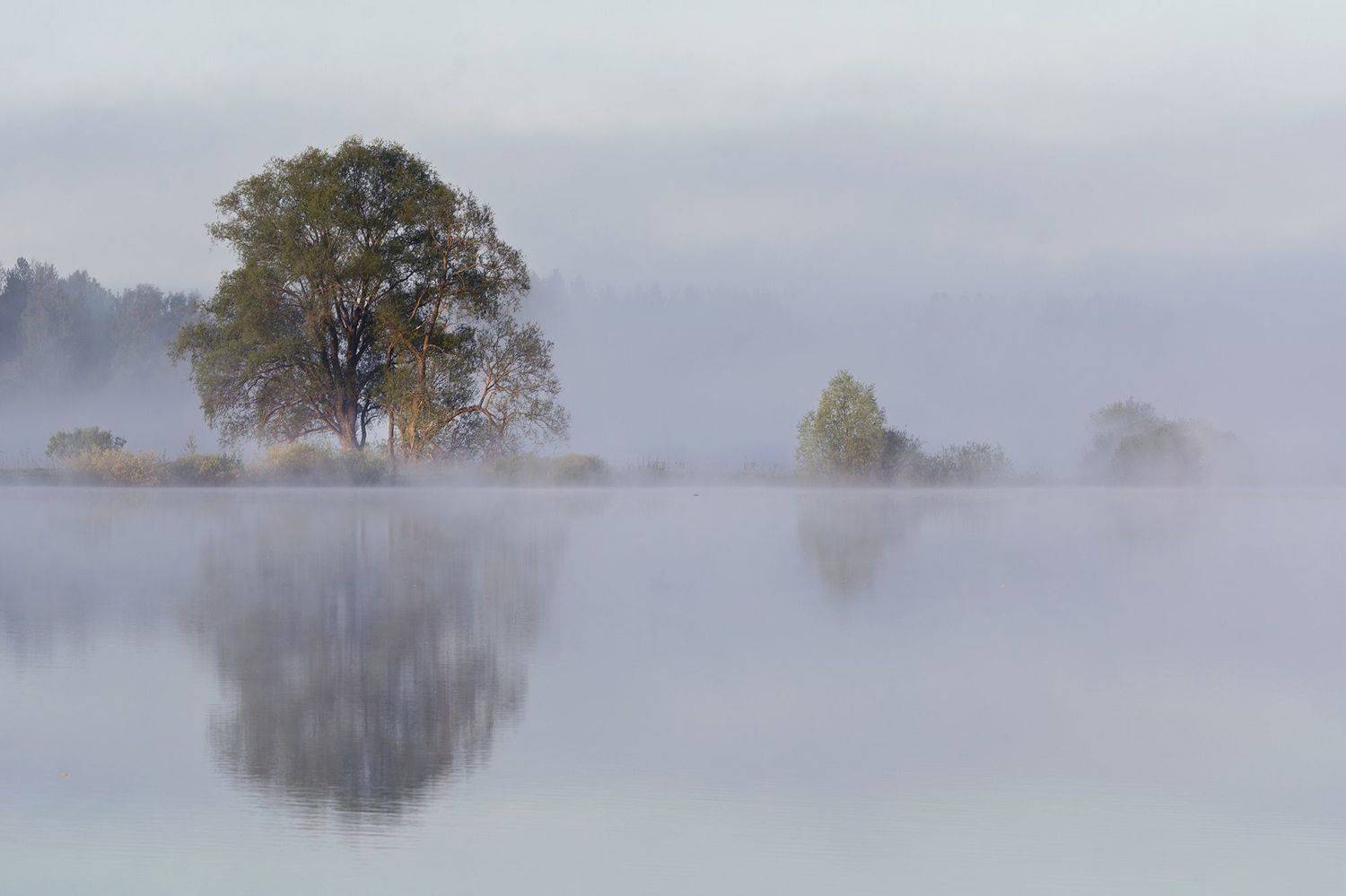 , Волоцков Александр