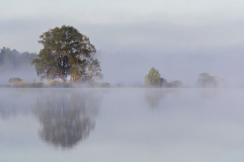 Утро фото превью