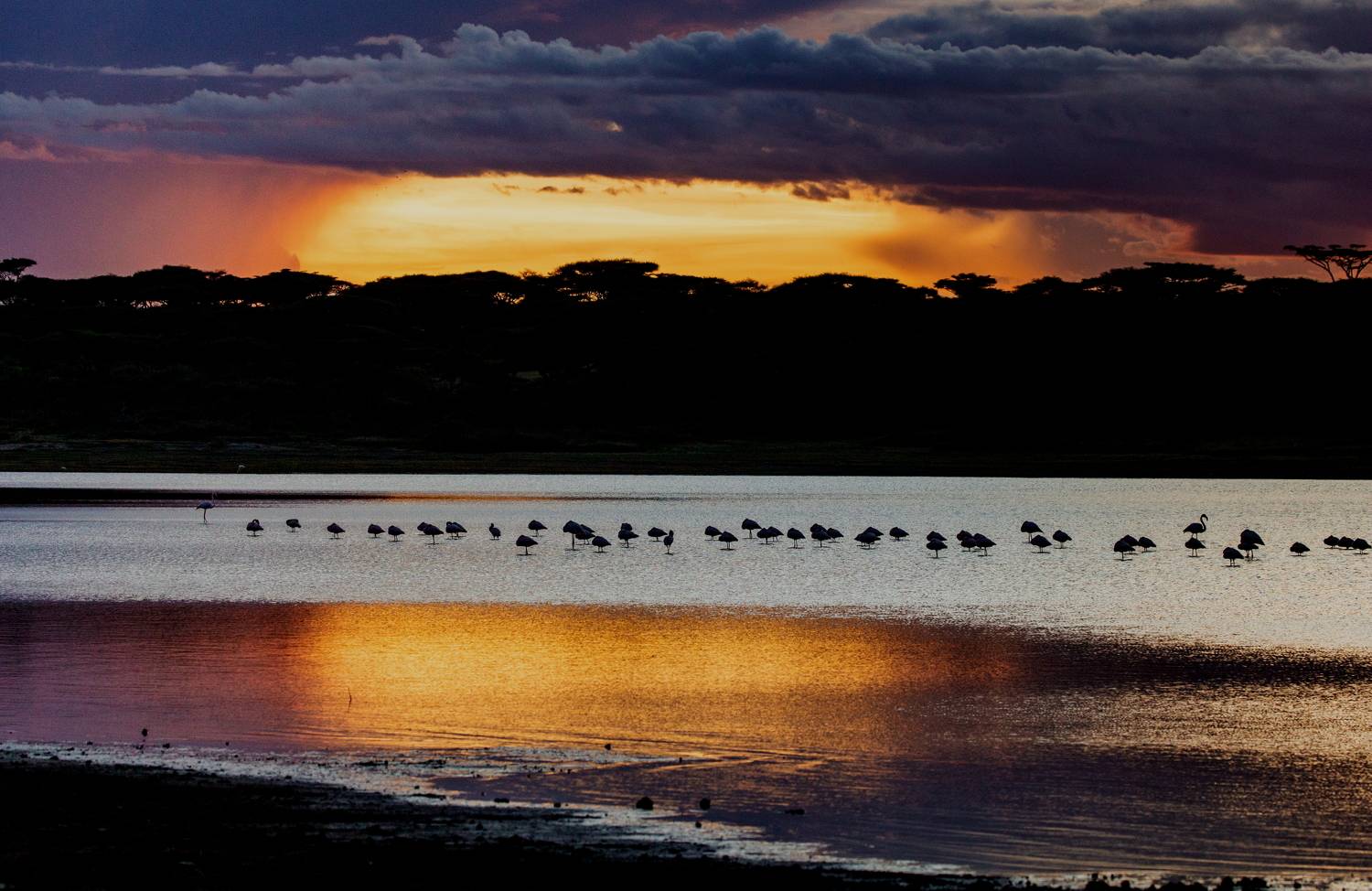 , Гудков Андрей