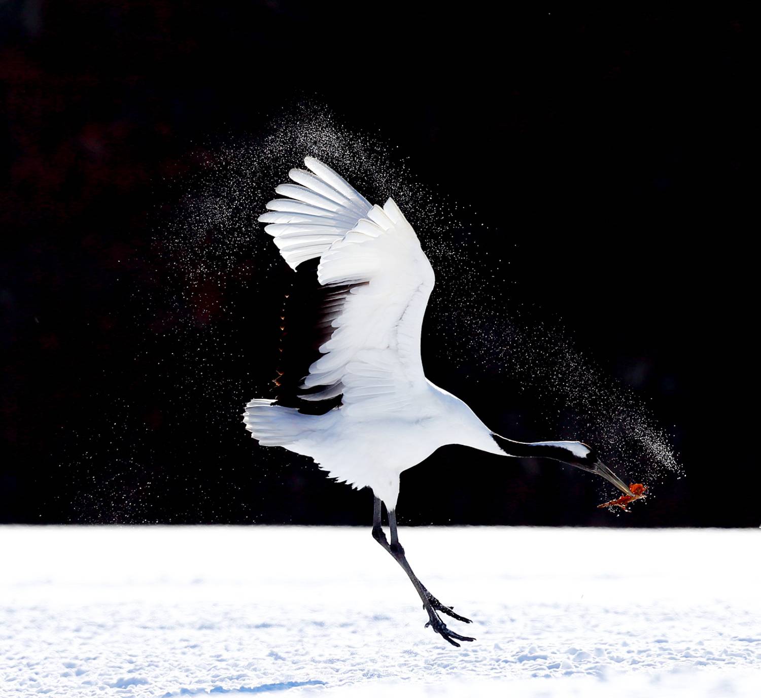 , Гудков Андрей