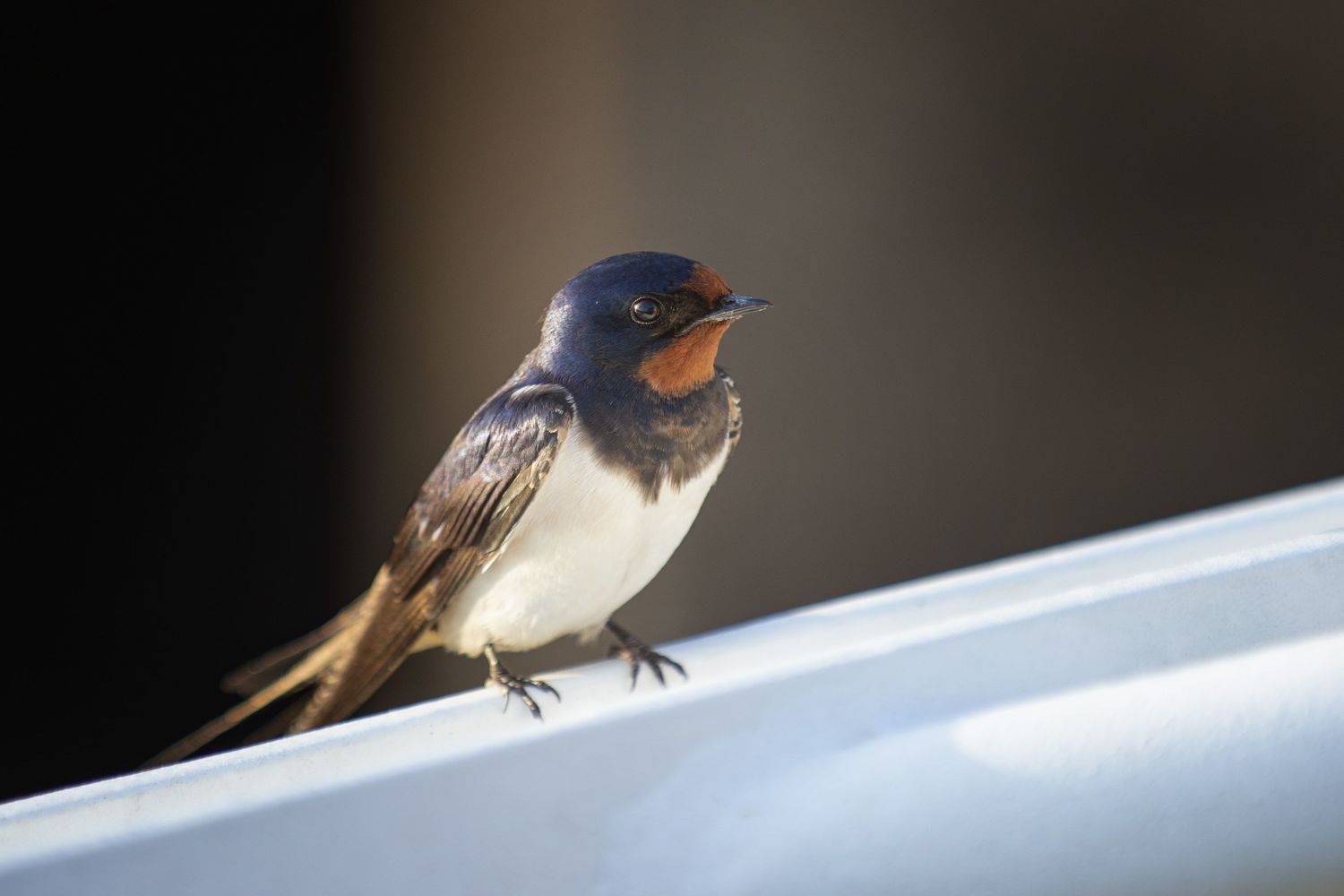 , Кулаков Юрий