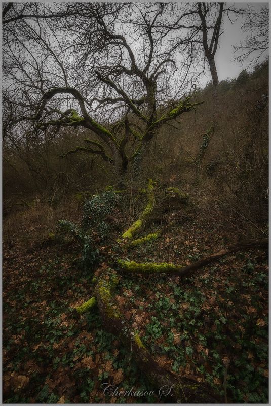 Настроение Сонной лощины фото превью