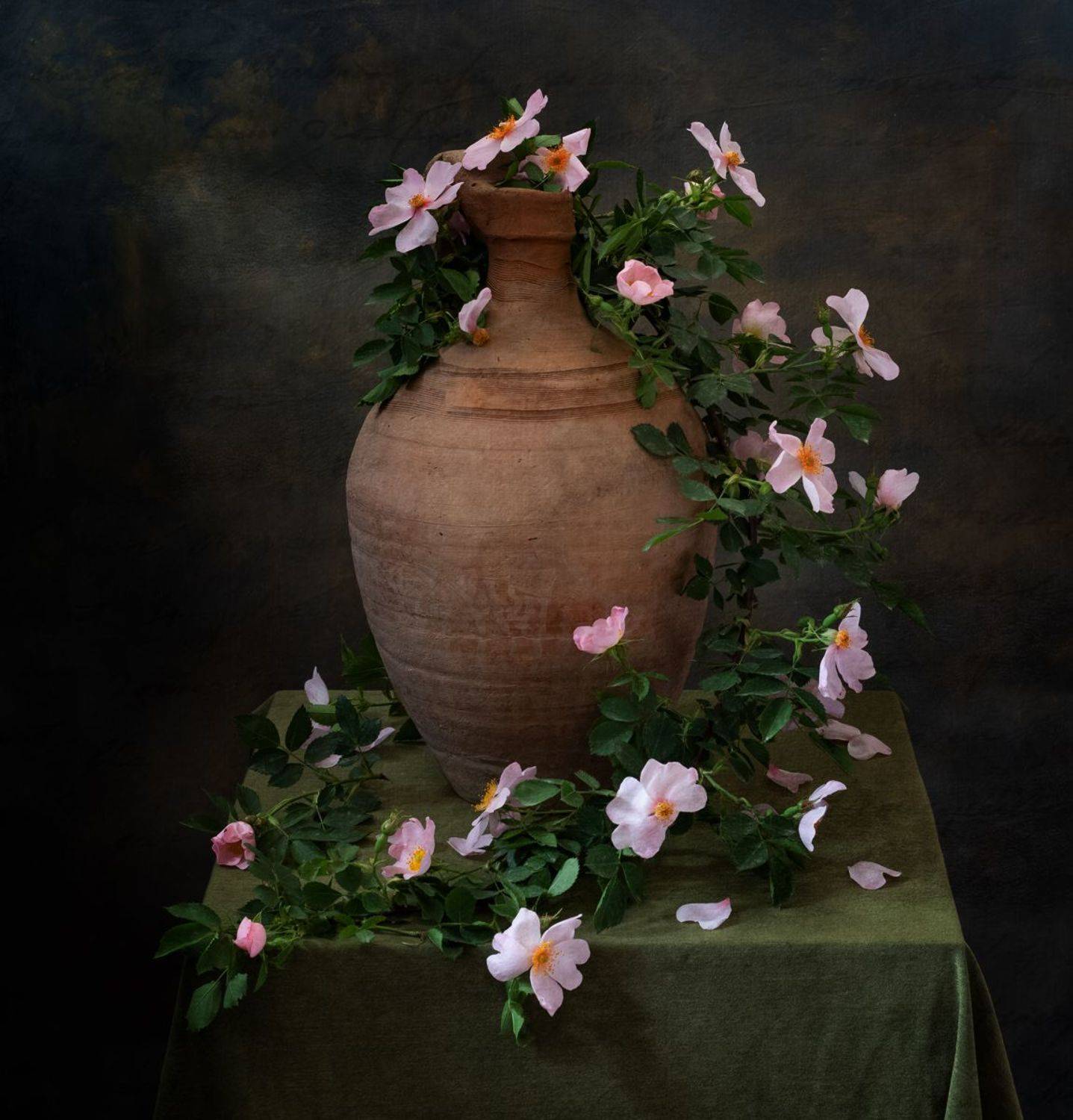 натюрморт, цветы, шиповник, Оля