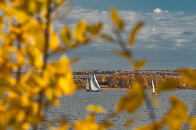 иркутск, ангара, яхты, осень Регата \