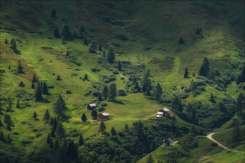 доломитовые альпы,passo giau,панорама,лето,италия,alps,горы // Погружение в зелёную бездну // фото превью