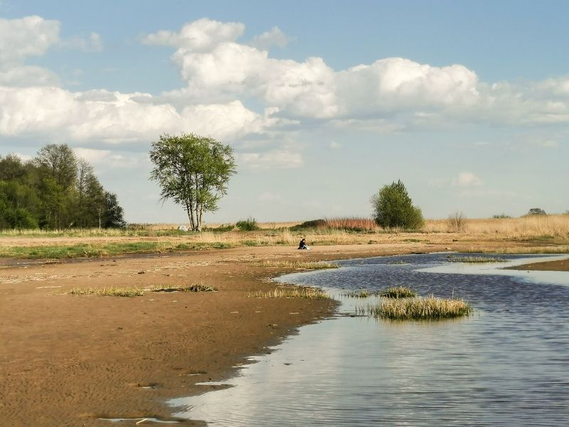 морские дубки, финский залив, море, вода, песок, пляж, Парк Морские дубки, СПб. фото превью