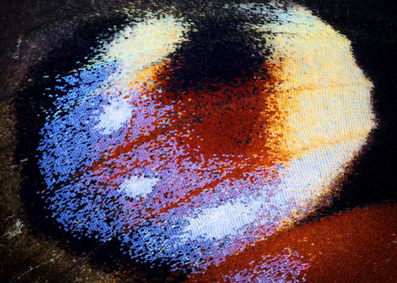 , Кузнецов Дмитрий