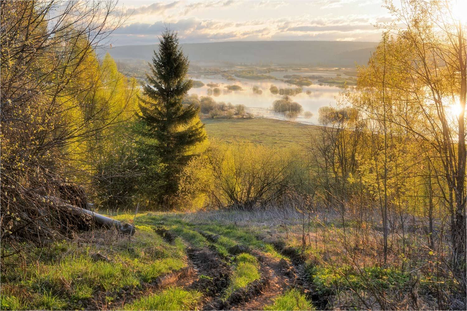 , Анатолий Гулин