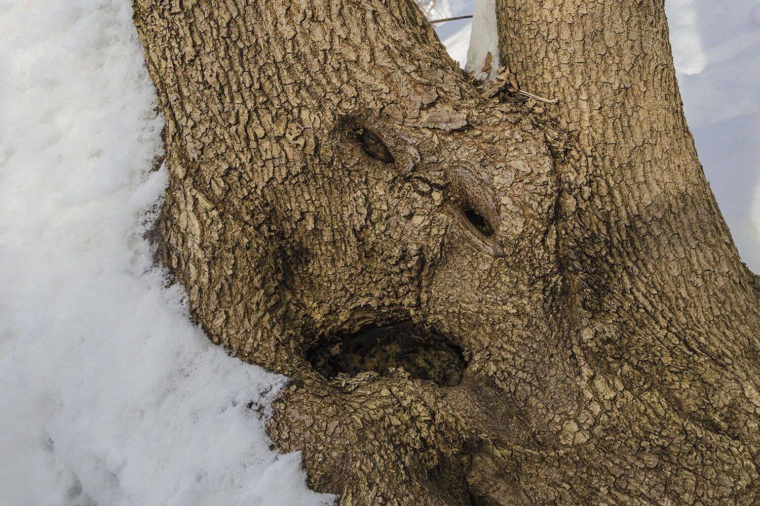 , Михаил Агеев