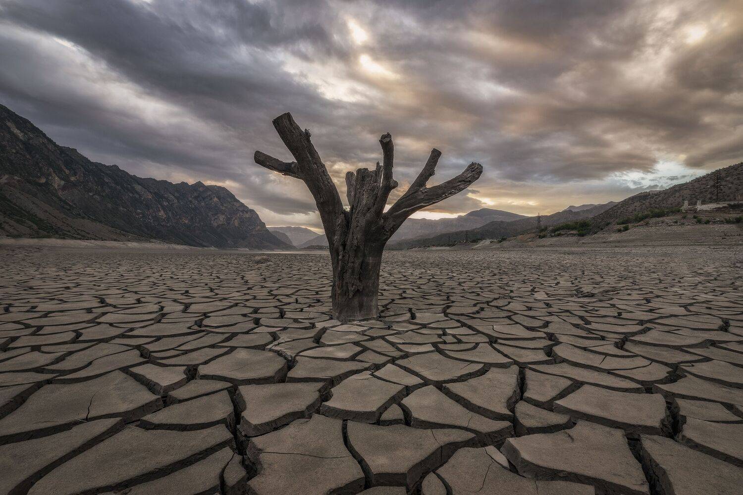 Дагестан, Елена Гусева