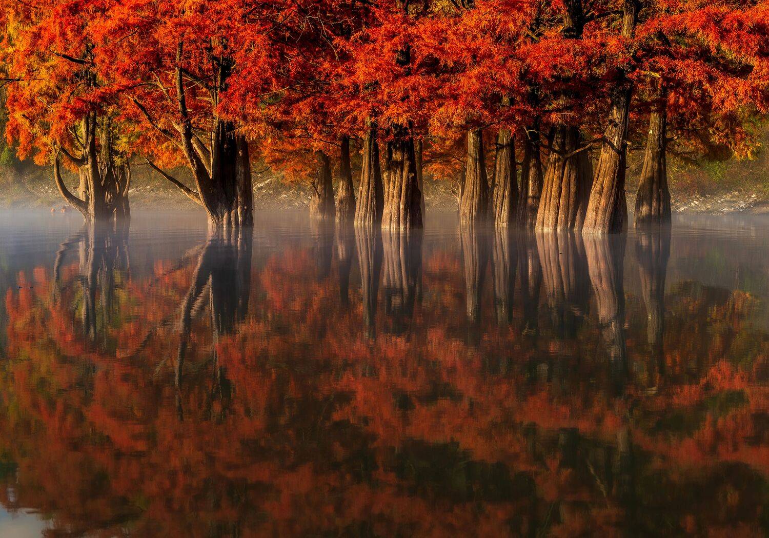 , Валерий Одинцов