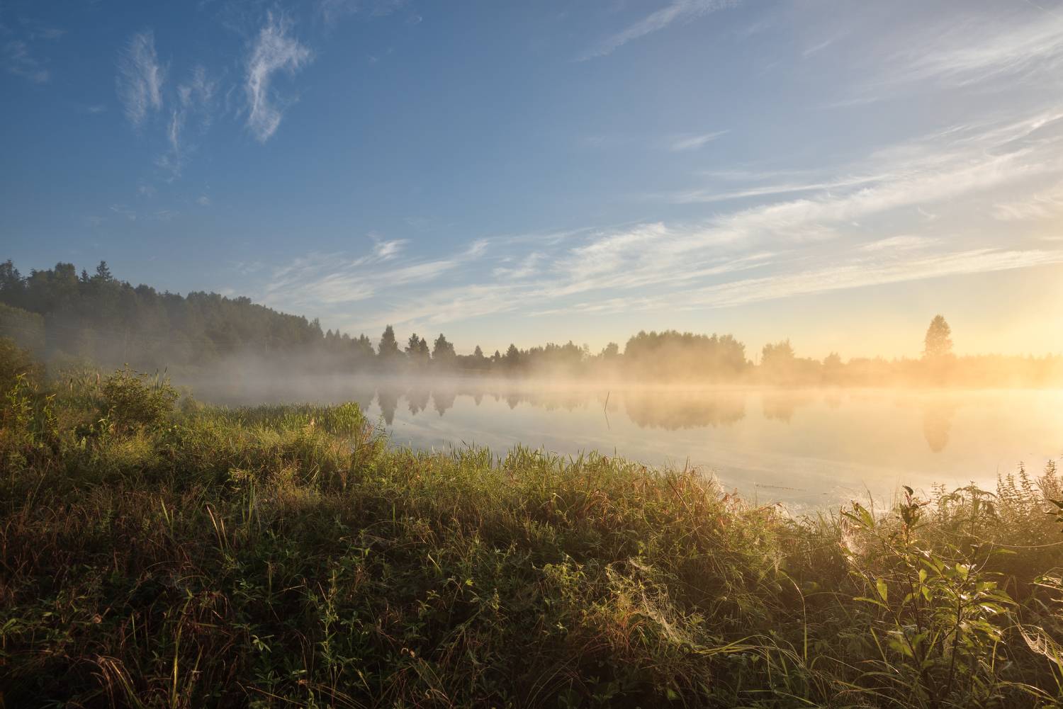 утро,рассвет,река,берег,туман,солнце,лучи, Виталий Полуэктов