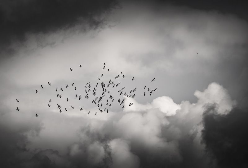 ... фото превью