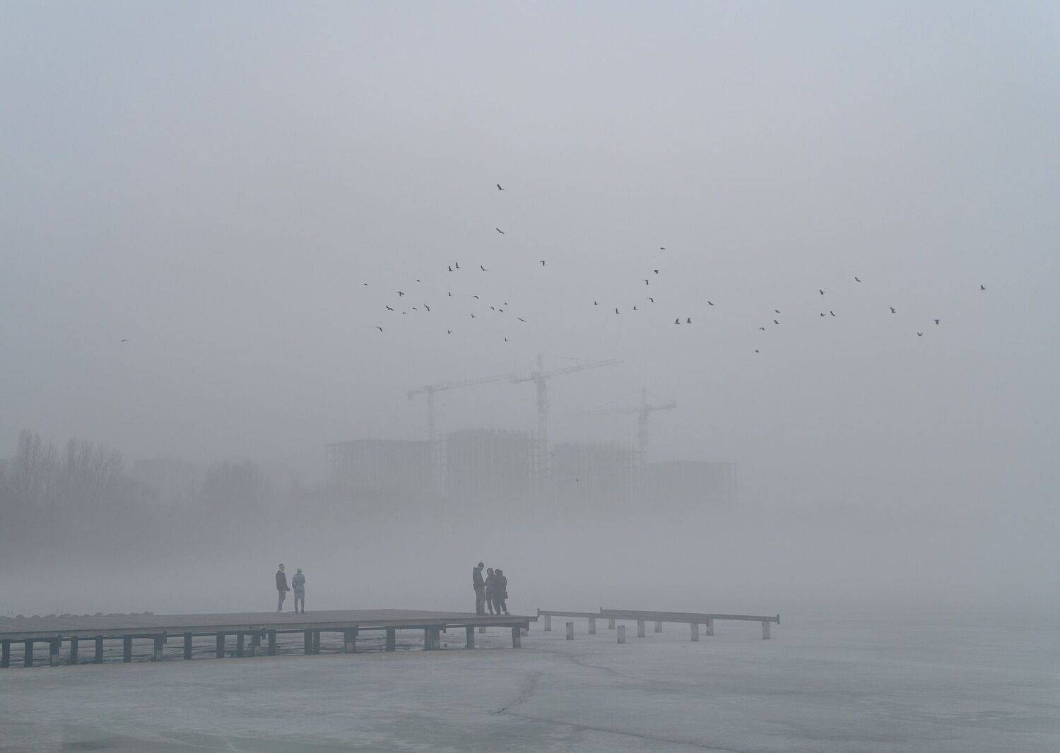 , Караваев Антон