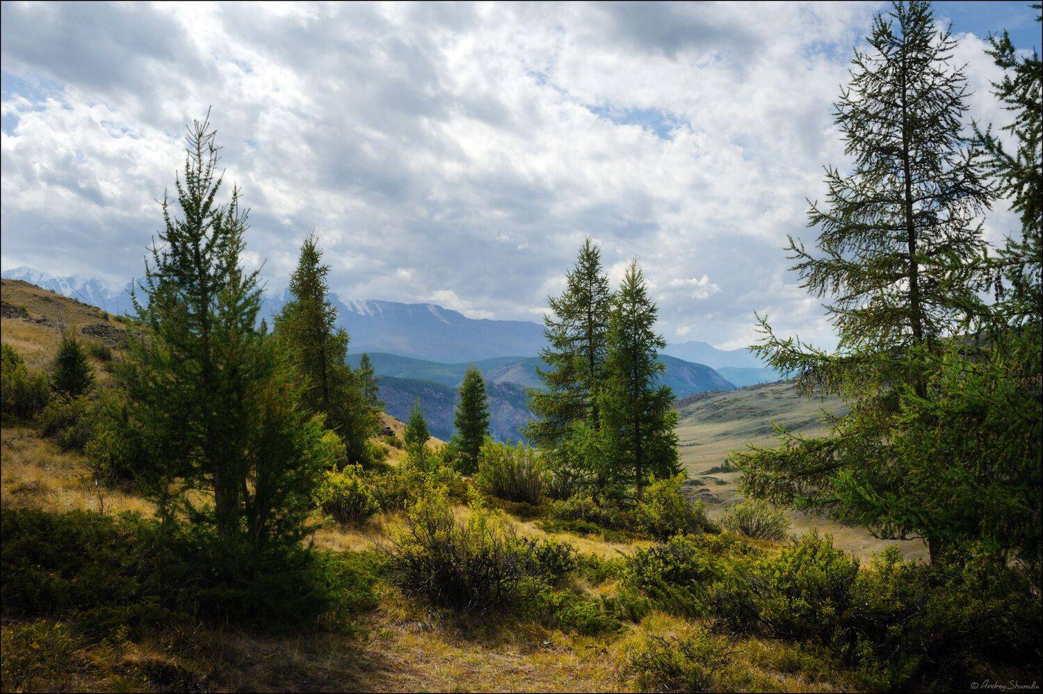 горный алтай, горы, курай, курайская степь, северо-чуйский хребет, Андрей Шумилин