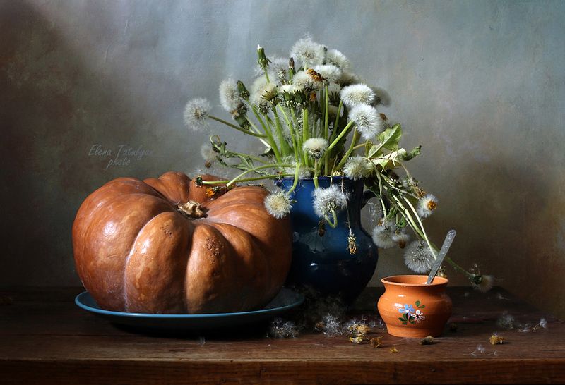 тыква, одуванчики С одуванчиками фото превью