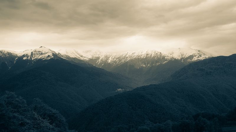 Высота фото превью
