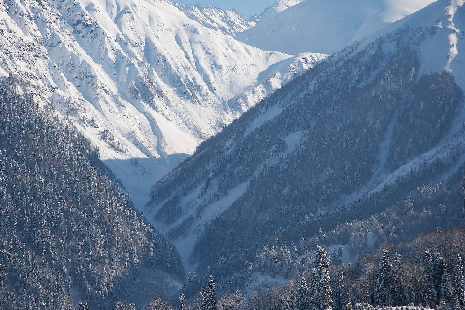 зима, горы, кавказский заповедник, Чавыкина Анастасия