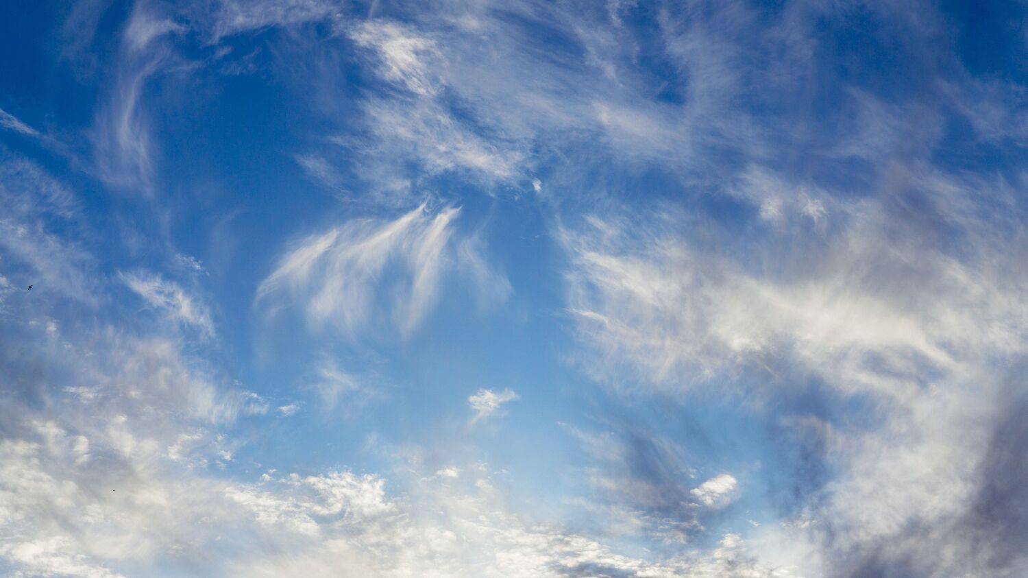 , Вертиков Юрий