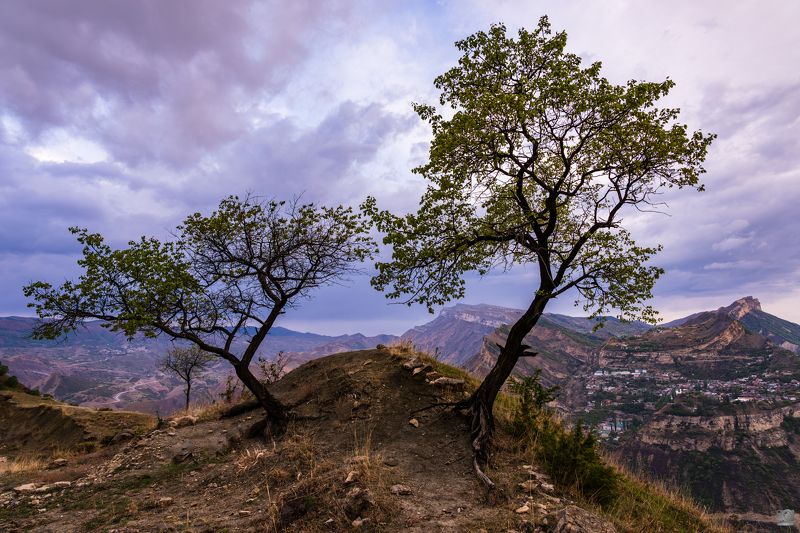Дагестан горы Гуниб Раннее утро в Гунибе фото превью