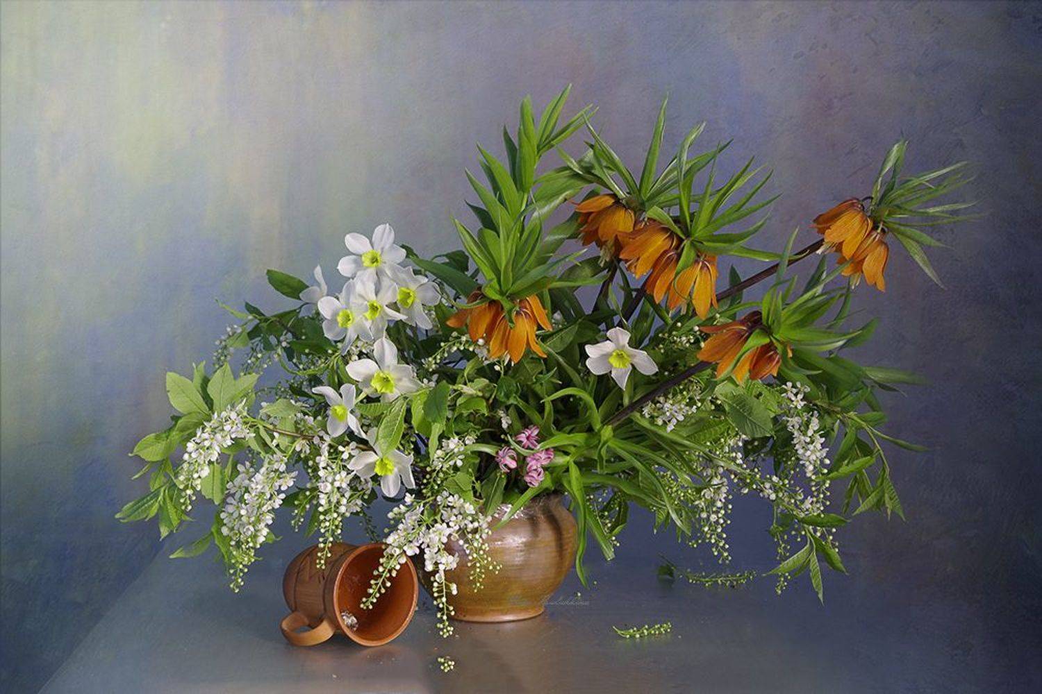 , Вера  Павлухина