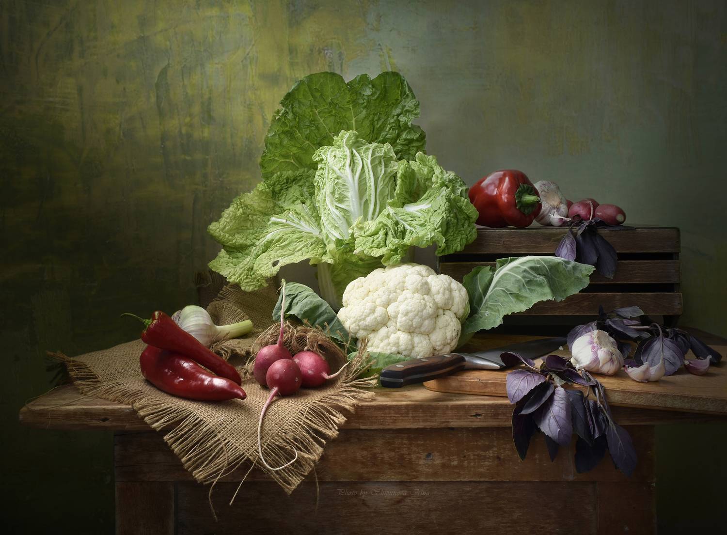 , Ирина Шипунова