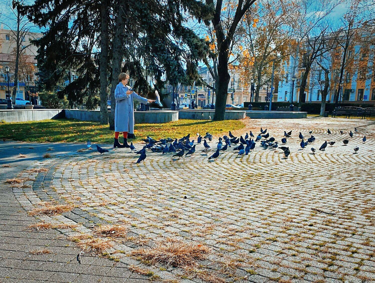 Улица, голуби, девушка, осень , Ксения Орлова