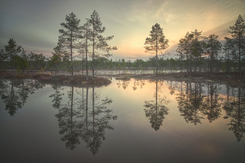 Весеннее утро фото превью