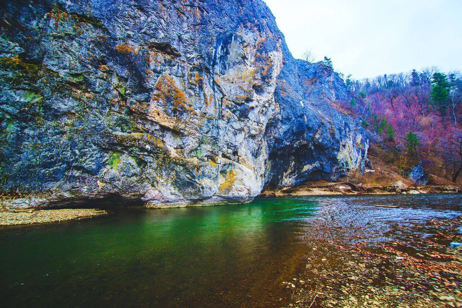 , Сигида Дмитрий