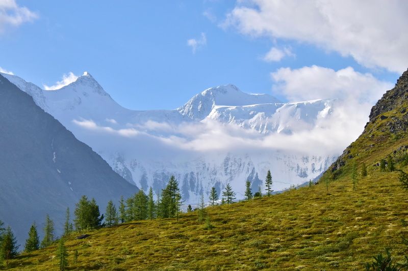 пейзаж, природа, путешествие, горы, алтай, белуха Дотянуться до Белухи фото превью