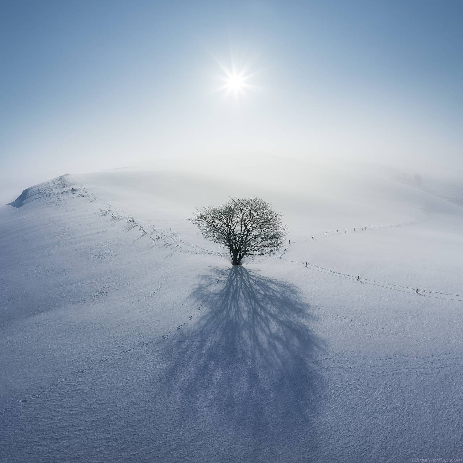 , Даниил Коржонов