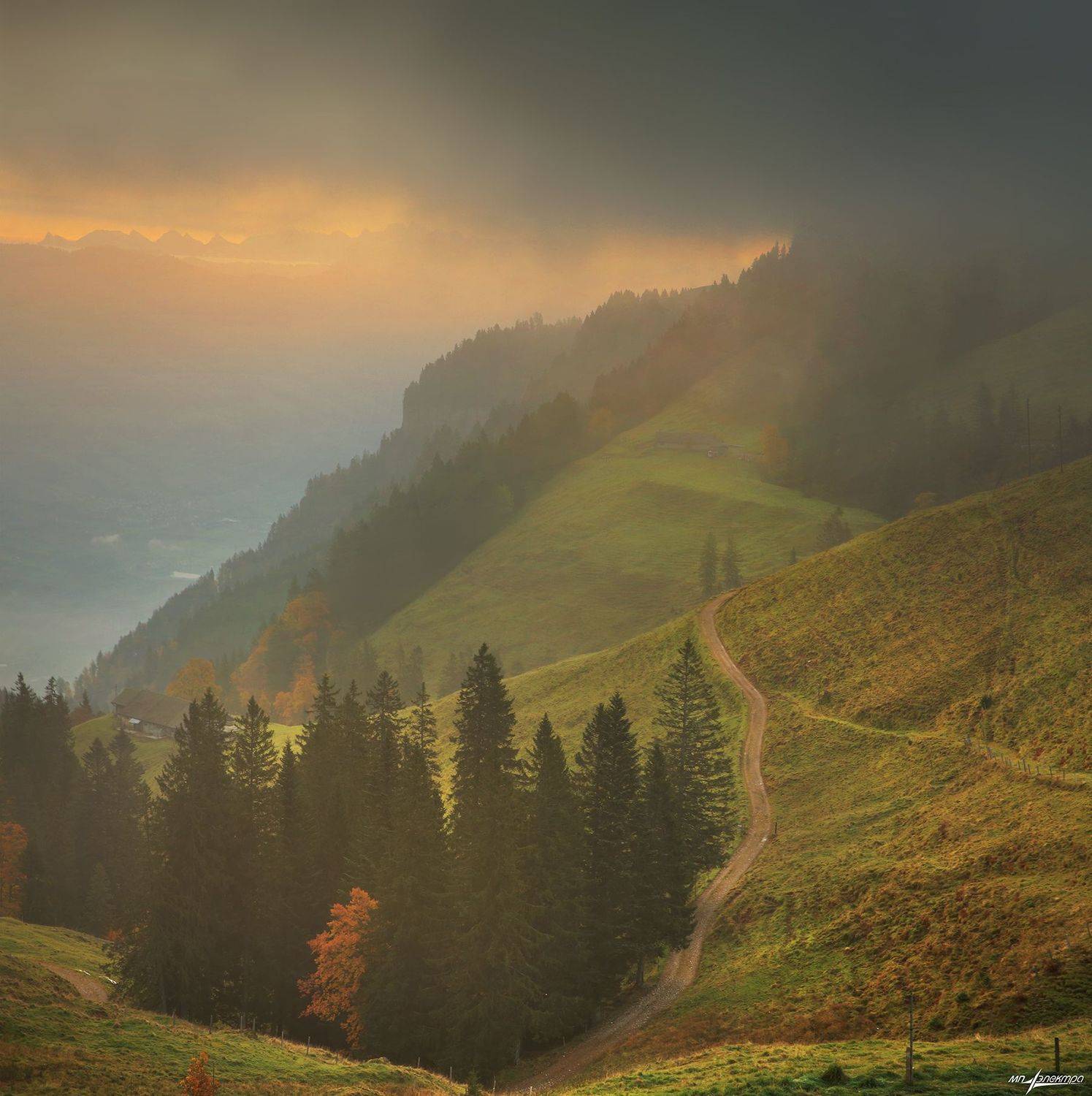 swiss,швейцария,осень,rigi, Николай Матвеев