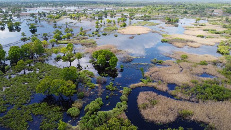 Весенний пейзаж фото превью