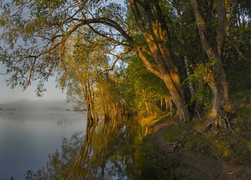 Утро фото превью