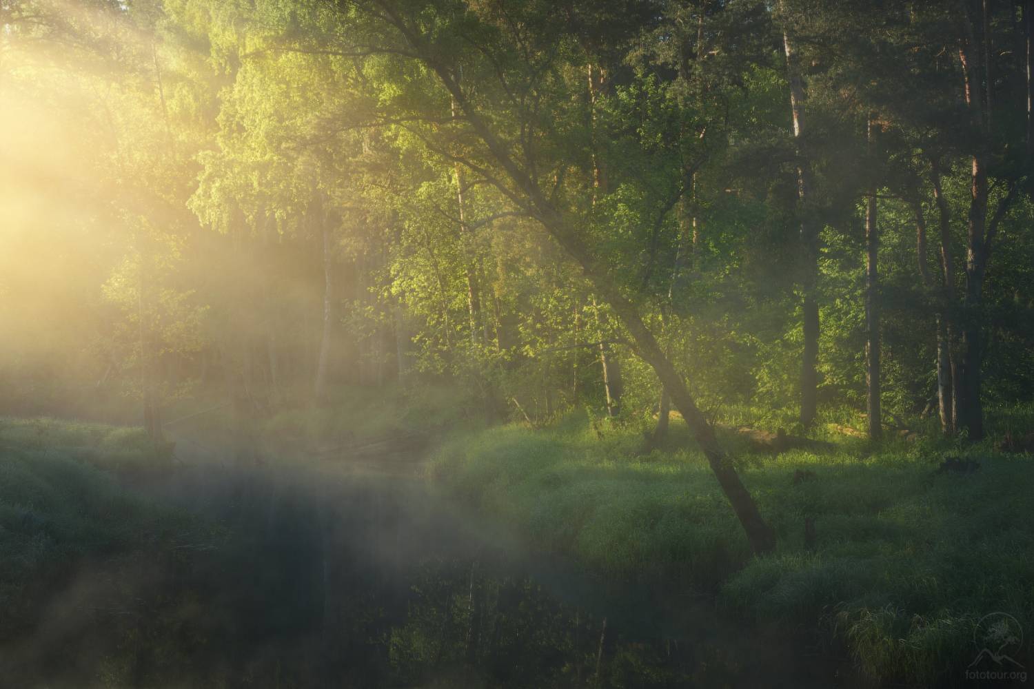 , Гордиенко Анатолий